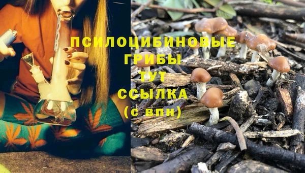 МДПВ Горно-Алтайск