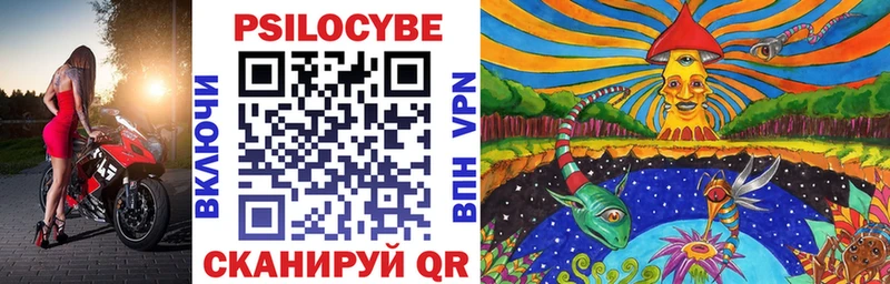 продажа наркотиков Дмитриев Псилоцибиновые грибы мухоморы